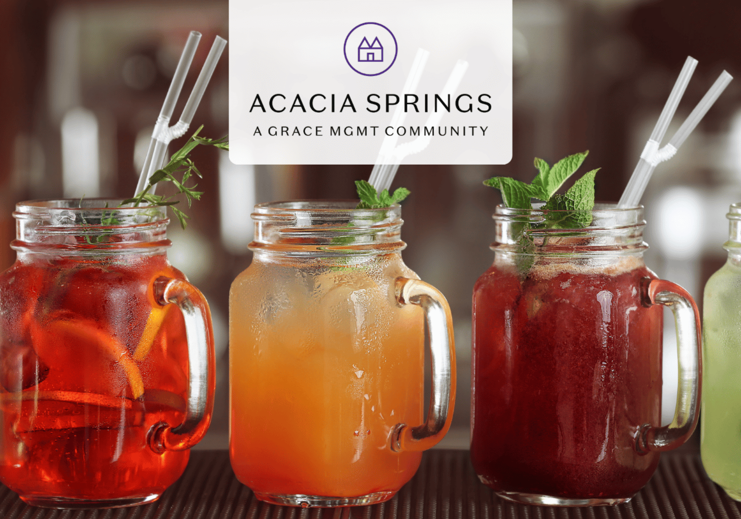 Three colorful mason jar drinks with mint garnish and striped straws on a bar counter, featuring Acacia Springs branding overlay.