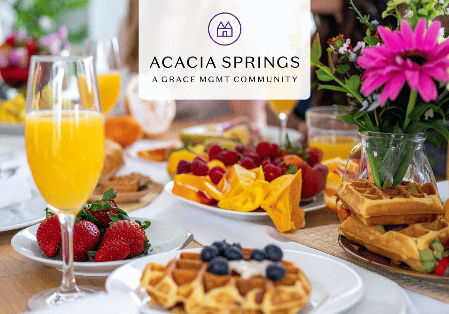 Brunch table at Acacia Springs community event featuring fruit, waffles, pastries, orange juice, and a vase of pink flowers; logo overlay reads Acacia Springs.